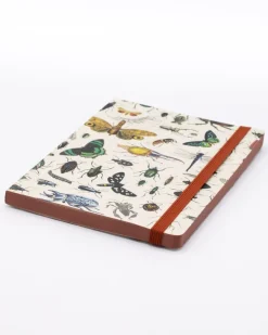 Cognitive Surplus Butterflies & Beetles A5 Softcover Notebook - Dotted Lines | * The Analysis | Entomology