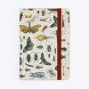 Cognitive Surplus Butterflies & Beetles Observation Softcover* The Observation | Entomology
