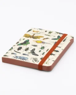 Cognitive Surplus Butterflies & Beetles Observation Softcover* The Observation | Entomology