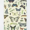 Cognitive Surplus Butterflies Softcover Notebook - Dot Grid* The Experiment | Entomology