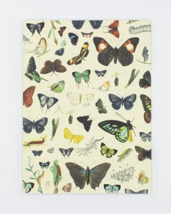 Cognitive Surplus Butterflies Softcover Notebook - Dot Grid* The Experiment | Entomology