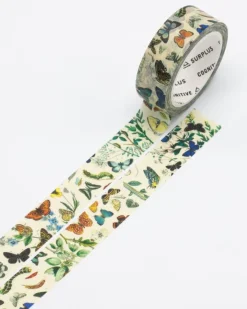 Cognitive Surplus Butterfly Garden Washi Tape* Washi Tape | Entomology