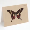 Cognitive Surplus Butterfly Greeting Card - Entomology Stationery | * Greeting Cards | Entomology