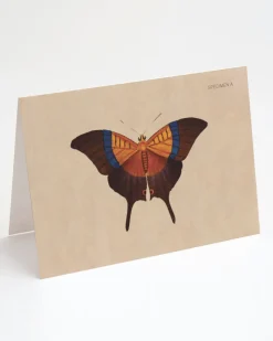 Cognitive Surplus Butterfly Greeting Card - Insect Print | * Greeting Cards | Entomology