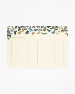 Cognitive Surplus Butterfly Notepads - Entomology Market Pad | * Notepads | Entomology