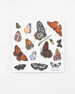 Cognitive Surplus Butterfly Party Sticker* Stickers | Entomology