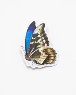 Cognitive Surplus Butterfly Sticker* Stickers | Entomology