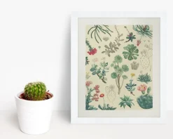 Cognitive Surplus Cactus Museum Print | Botany Print* Wall Art | Botany