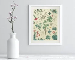 Cognitive Surplus Cactus Museum Print | Botany Print* Wall Art | Botany