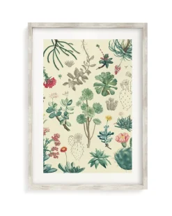 Cognitive Surplus Cactus Museum Print | Botany Print* Wall Art | Botany
