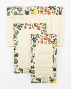Cognitive Surplus Cactus Notepads - Succulents Market Pad | * Notepads | Botany