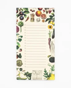 Cognitive Surplus Cactus Notepads - Succulents Market Pad | * Notepads | Botany