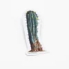 Cognitive Surplus Cactus Sticker* Stickers | Botany