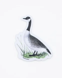 Cognitive Surplus Canada Goose Sticker* Stickers | Ornithology