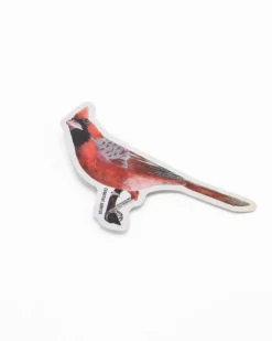 Cognitive Surplus Cardinal Bird Sticker* Stickers | Ornithology