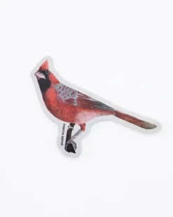 Cognitive Surplus Cardinal Bird Sticker* Stickers | Ornithology