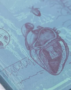 Cognitive Surplus Cardiology Hardcover Notebook | Anatomical Heart Notebook* The Hypothesis | Medicine