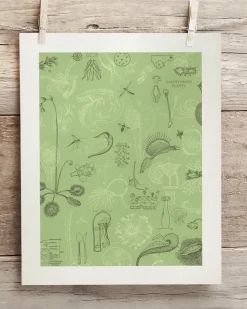 Cognitive Surplus Carnivorous Plants Scientific Illustration Museum Print* Wall Art | Botany
