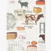 Cognitive Surplus Cheesemaking Science Softcover Notebook - Lined* The Experiment | Kitchen Science
