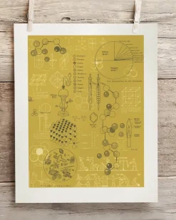 Cognitive Surplus Chemistry Lab Museum Print | Chemistry Gift* Wall Art | Pharmacy