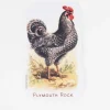 Cognitive Surplus Chicken Sticker* Stickers | Ornithology