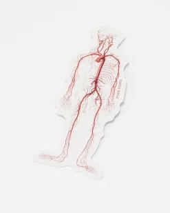 Cognitive Surplus Circulatory System Sticker* Stickers | Medicine