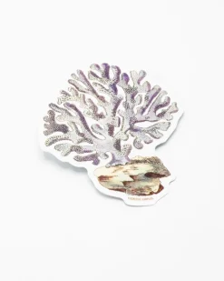 Cognitive Surplus Coral Sticker* Stickers | Marine Biology