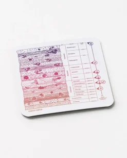 Cognitive Surplus Core Sample Magnet* Magnets | Geology + Earth Science