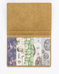 Cognitive Surplus Cranium Page Flags* Page Flags | Psychology