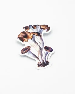 Cognitive Surplus Craterellus Cornucopioides Mushrooms Sticker* Stickers | Botany