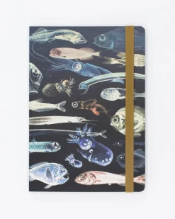 Cognitive Surplus Deep Sea A5 Notebook - Marine Biology | * The Analysis | Marine Biology