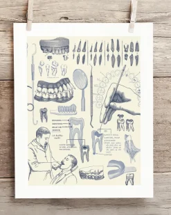 Cognitive Surplus Dentistry Medical Illustration Wall Art | * Wall Art | Medicine