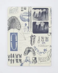 Cognitive Surplus Dentistry Softcover Notebook | Dot Grid Journal* The Experiment | Medicine