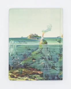 Cognitive Surplus Descending Regions Hardcover - Blank* The Theory | Marine Biology