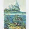 Cognitive Surplus Descending Regions Softcover Notebook - Dot Grid* The Experiment | Marine Biology