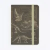 Cognitive Surplus Dinosaur Bones Observation Softcover* The Observation | Geology + Earth Science