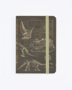 Cognitive Surplus Dinosaur Bones Observation Softcover* The Observation | Geology + Earth Science
