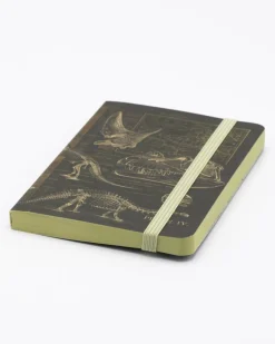 Cognitive Surplus Dinosaur Bones Observation Softcover* The Observation | Geology + Earth Science