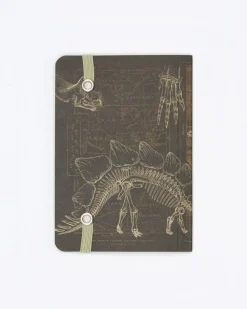 Cognitive Surplus Dinosaur Bones Observation Softcover* The Observation | Geology + Earth Science