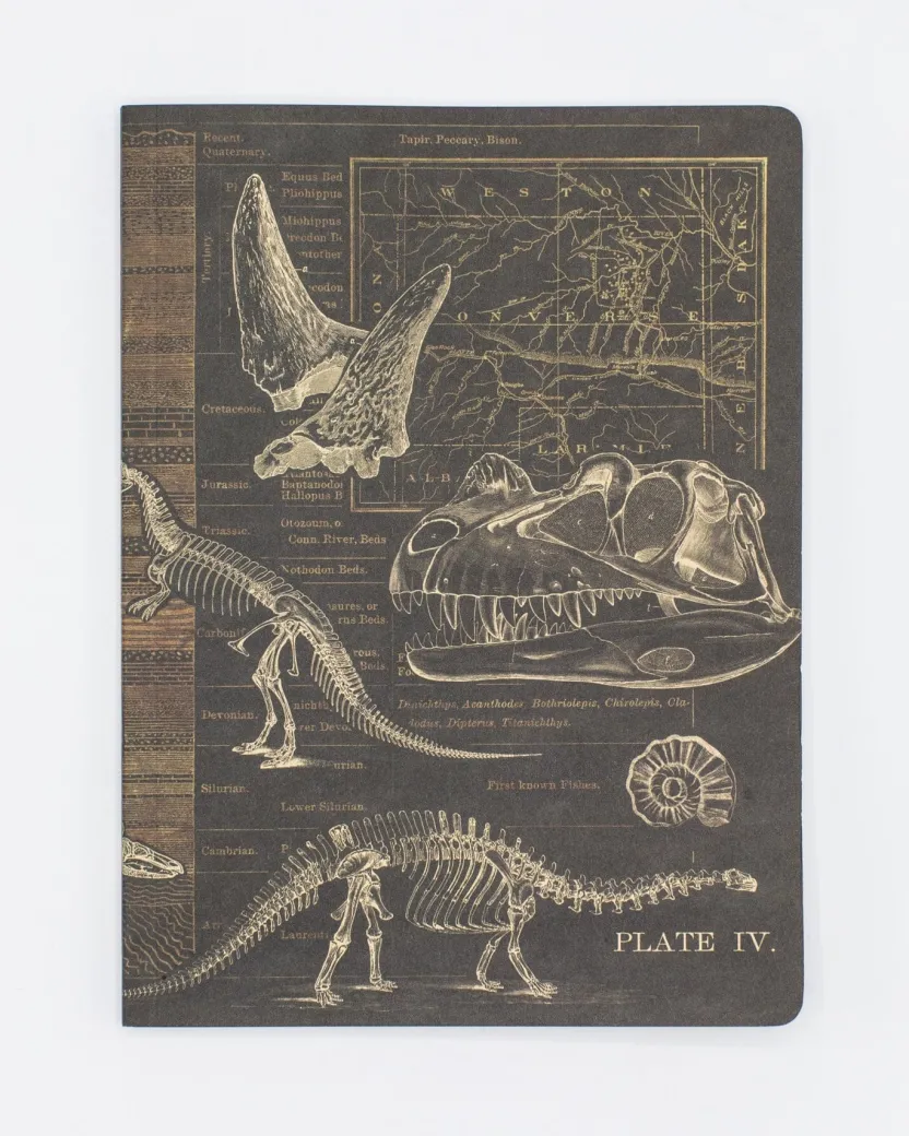 Cognitive Surplus Dinosaur Softcover Notebook | Paleontology Dotted Journal* The Experiment | Paleontology