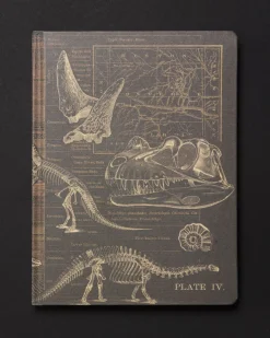 Cognitive Surplus Dinosaurs Dark Matter Notebook* Black Paper Notebooks | The Dark Matter