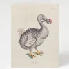 Cognitive Surplus Dodo Bird Greeting Card - Science Stationery | * Greeting Cards | Ornithology