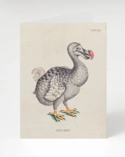 Cognitive Surplus Dodo Bird Greeting Card - Science Stationery | * Greeting Cards | Ornithology