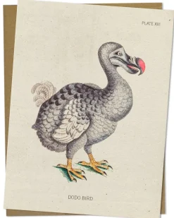 Cognitive Surplus Dodo Bird Greeting Card - Science Stationery | * Greeting Cards | Ornithology