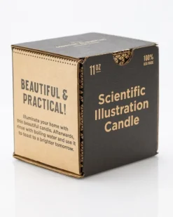 Cognitive Surplus Double Helix Cocktail Candle* Candles | Genetics