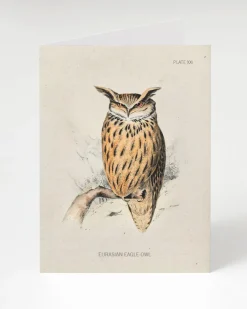 Cognitive Surplus Eagle-Owl Bird Card - Science Stationery | * Greeting Cards | Ornithology