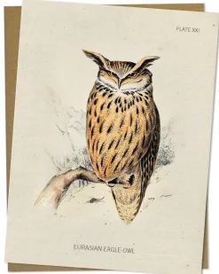 Cognitive Surplus Eagle-Owl Bird Card - Science Stationery | * Greeting Cards | Ornithology