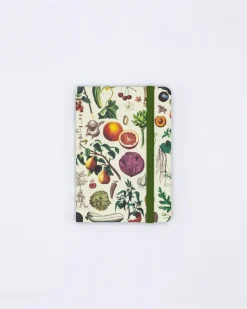 Cognitive Surplus Edible Flora Observation Softcover* The Observation | Kitchen Science