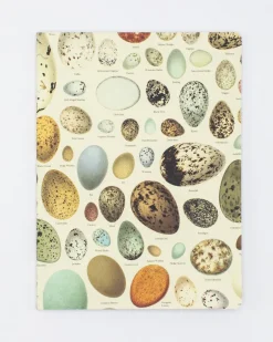 Cognitive Surplus Eggs Softcover Notebook | Botanical Print Journal* The Experiment | Veterinary Science