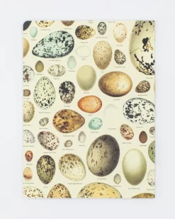 Cognitive Surplus Eggs Softcover Notebook | Botanical Print Journal* The Experiment | Veterinary Science
